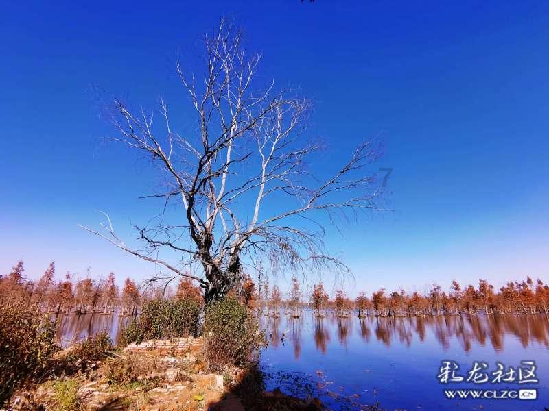 破镜可以重圆吗?-专业有问必答平台